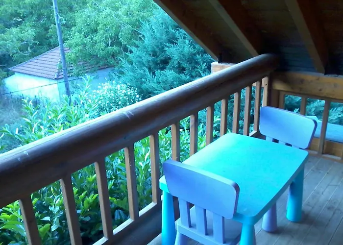 My Woodenfriend Kato Chovoli