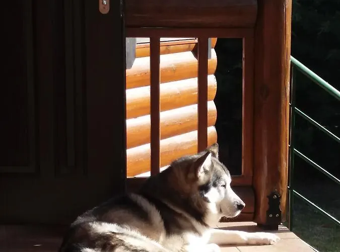 Alpehytte My Woodenfriend