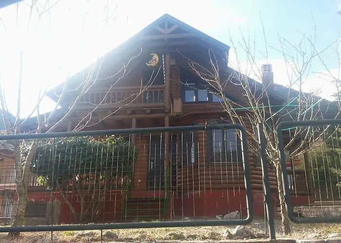 My Woodenfriend * Kato Chovoli